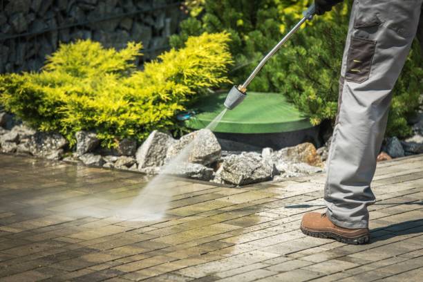 Best Driveway Pressure Washing  in Harrington, DE
