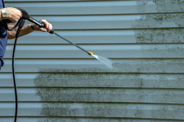 Best Warehouse Cleaning  in Harrington, DE