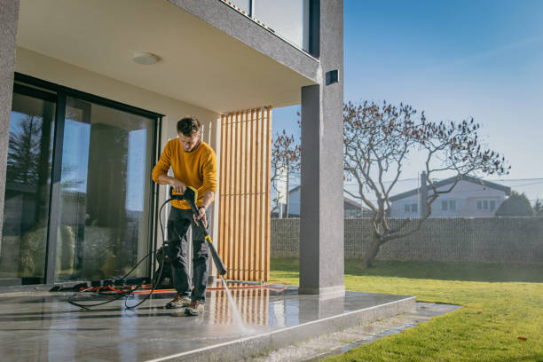 Best Pre-Holiday Cleaning  in Harrington, DE