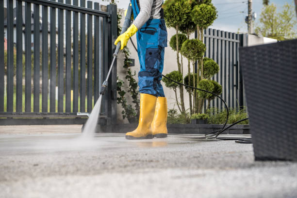 Best Gutter Cleaning  in Harrington, DE