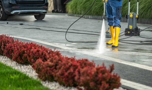 Best Spring Cleaning  in Harrington, DE